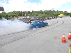 Ptički brez gnezda ponovno presenetili 3